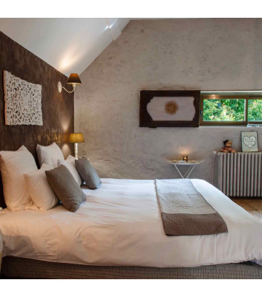 Coffret détente 1 nuit semaine dans la Suite "l'élégant". Hôtel Spa à 45 minutes de Châlons-en-Champagne